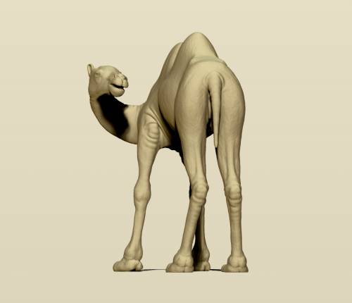 3d модель для 3d печати. Верблюд бактриан. 